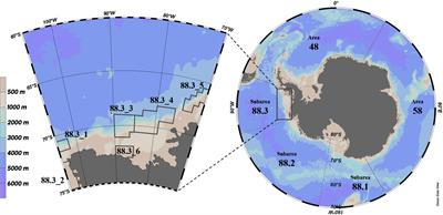Feeding ecology of Antarctic toothfish, Dissostichus mawsoni in the subarea 88.3 (Bellingshausen Sea and eastern Amundsen Sea) of the Southern Ocean